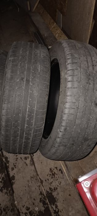 Продам резину не дорого.