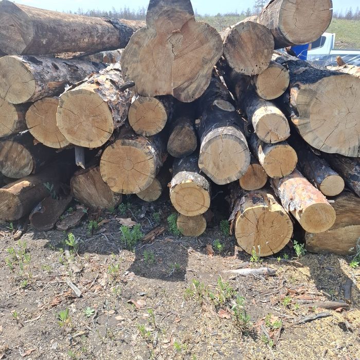 Продам деловой кругляк