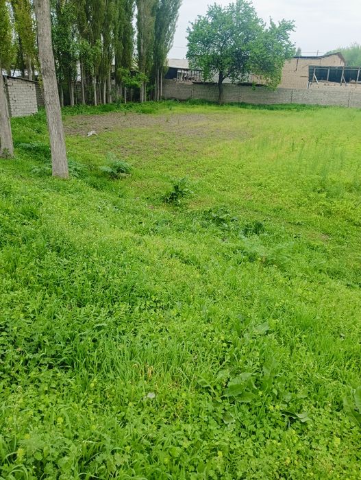 15 sotik yer sotiladi