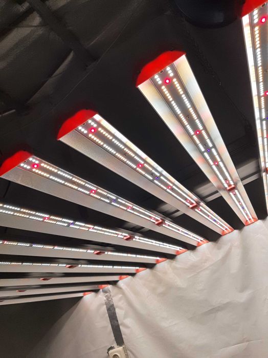 Green Sensation 1000W led grow lights