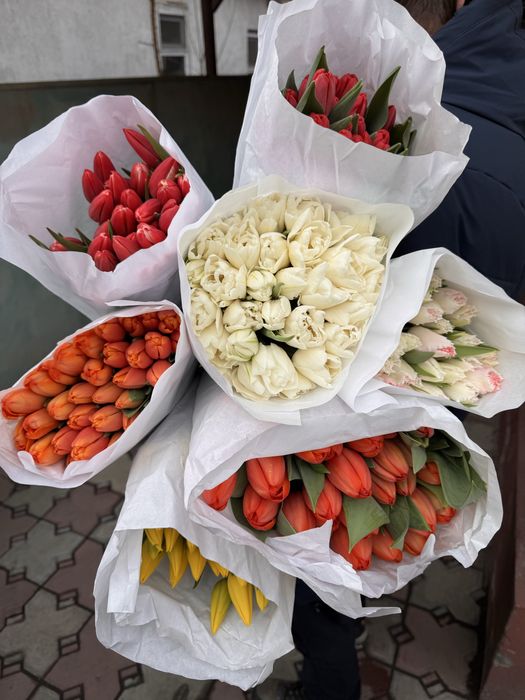 Продажа тюльпанов