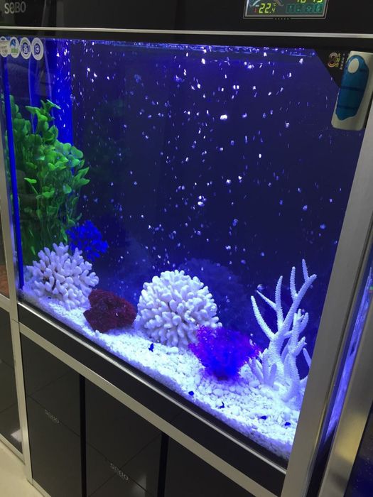 Akvarium suvini almashtirish xizmati