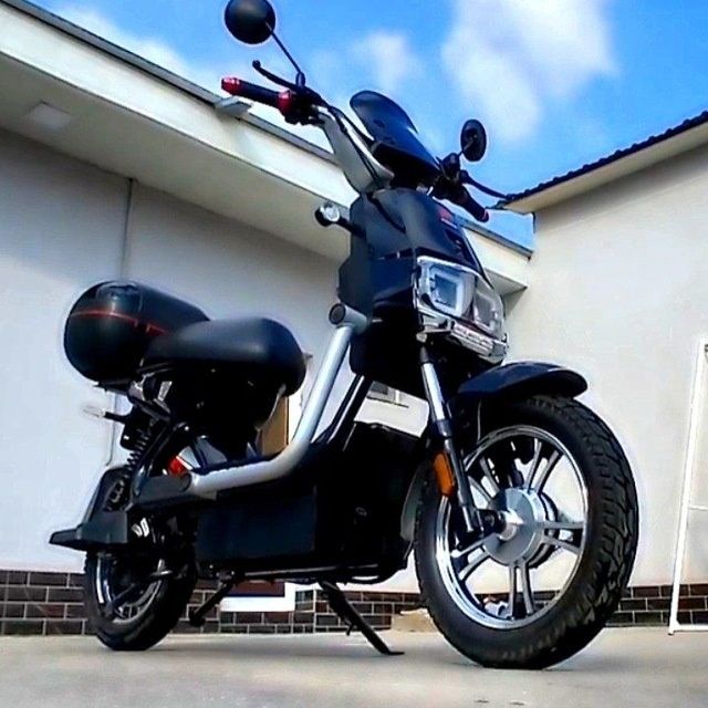 Fores Scuter Model