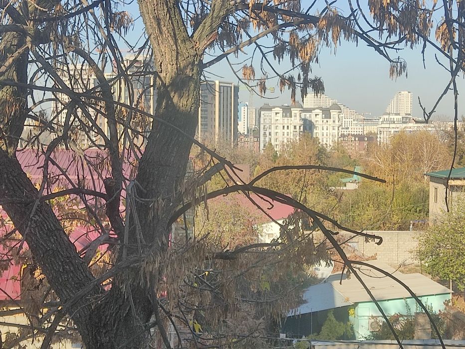 Срочно Продам 2х комн 2/4/4 в Школа  Вундеркинд