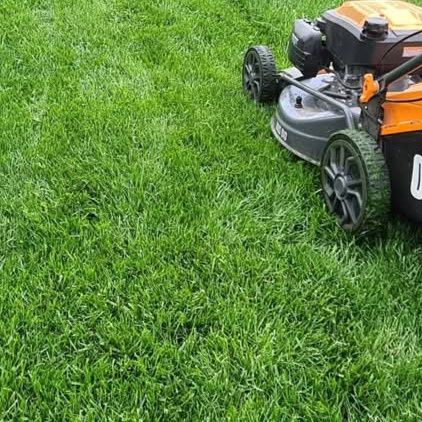 Gazon Rulou și sistem de irigare