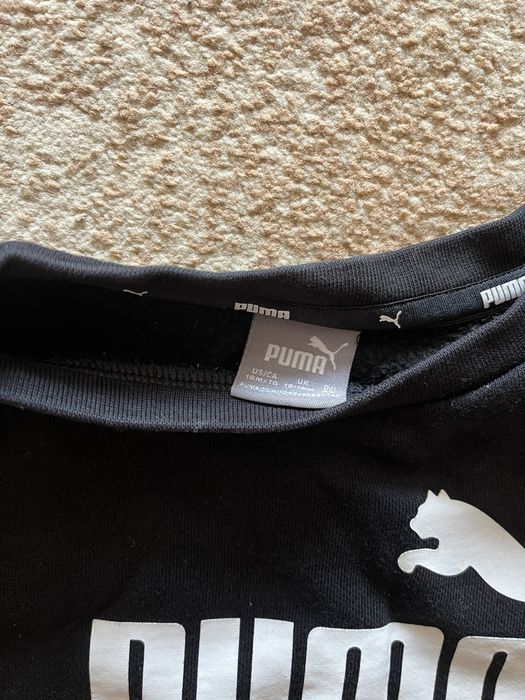 Оргинален анцунг на puma