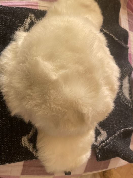 MK caciula ruseasca blana ecologica