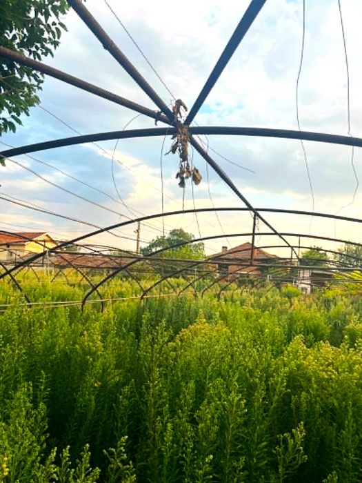 Продавам оранжерии