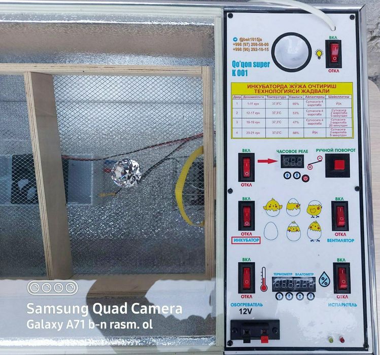 INKUBATOR инкубатор