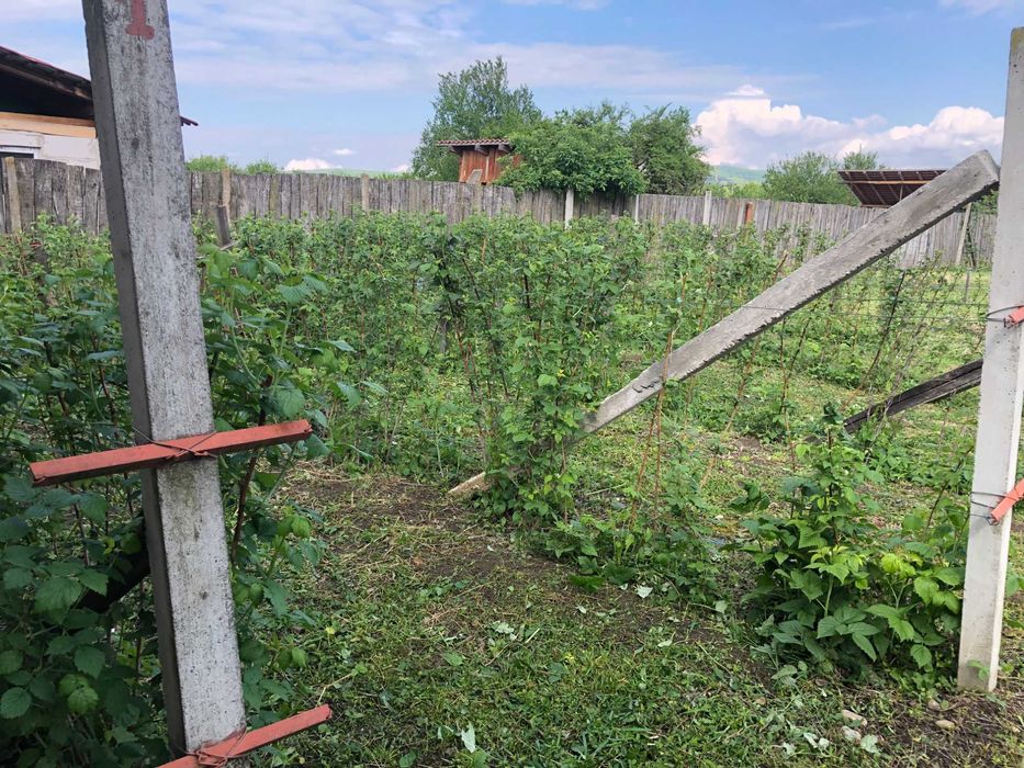 proprietate de vinzare