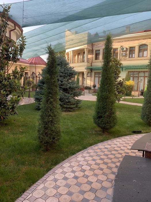 Солнце защитная сетка