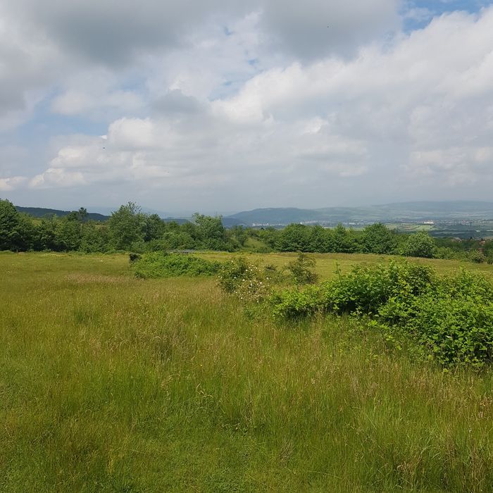 Продава се Парцел в Сапарева баня - 2500 кв.м за 6 €/кв.м - Снимка #3