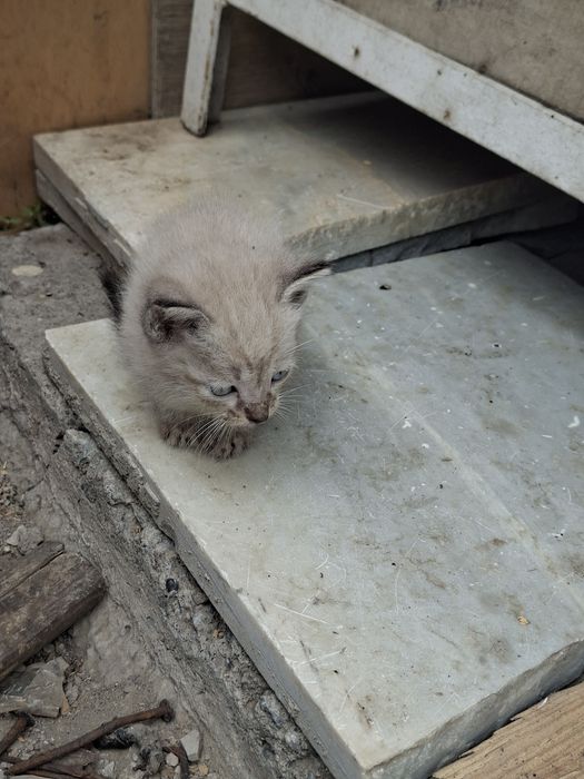 Счастье, которое точно не даст заскучать