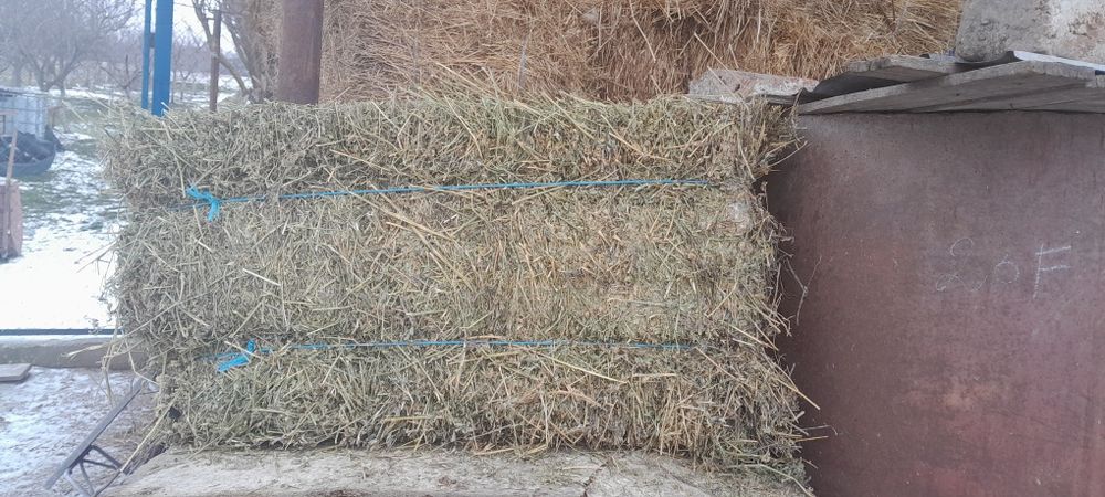 Vând baloti de lucerna