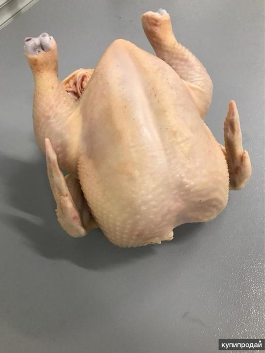 Мясо домашней курицы