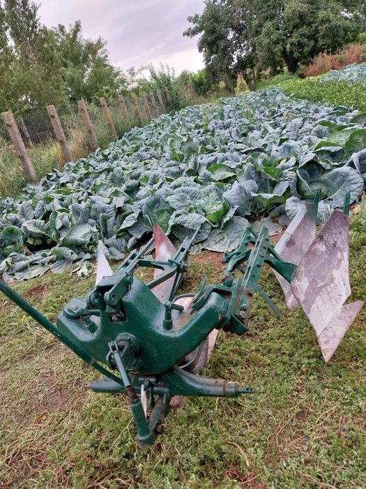 Plug reversibil 2 brazde