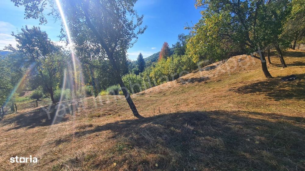 Teren 2264 mp de vânzare în comuna Brăduleț,  județ Argeș.