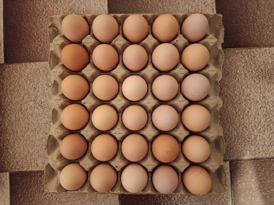 Продавам домашни яйца
