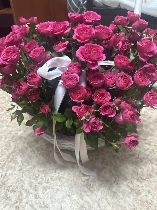 бүгін келді 25-30 келисемызз