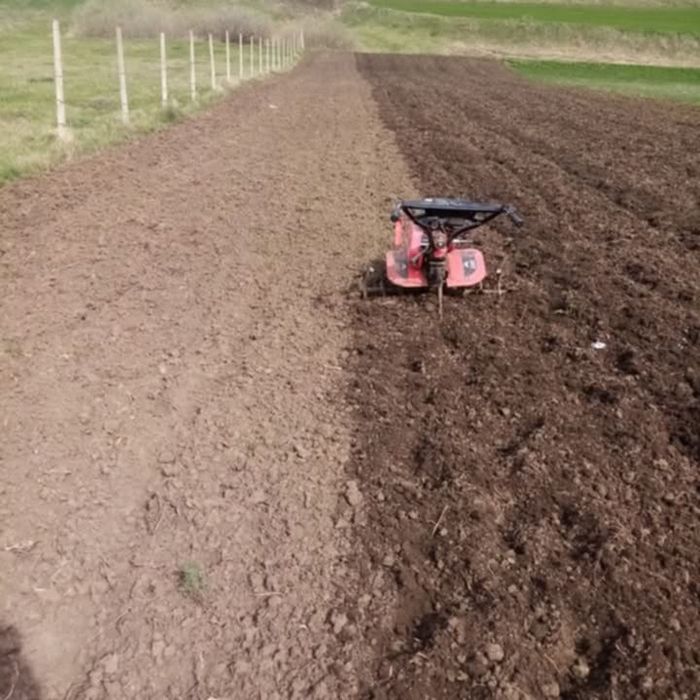 Pregatire teren pentru gazon sau agricultura