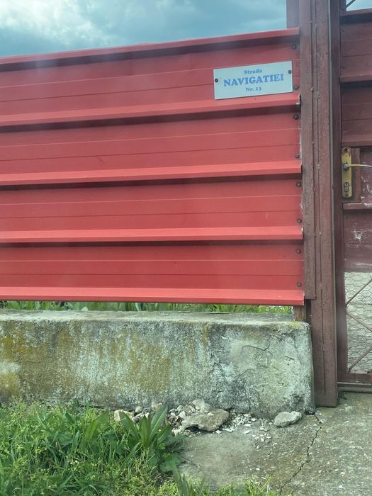 DE Vanzare tern steau de mare 2