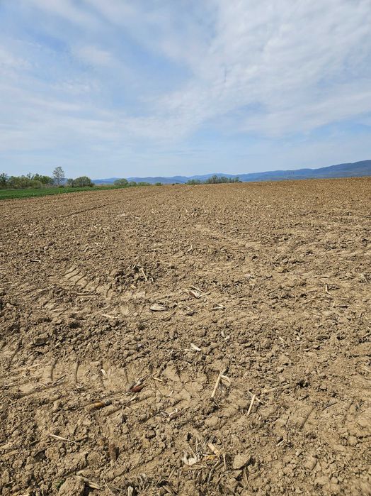 Vanzare teren agricol extravilan