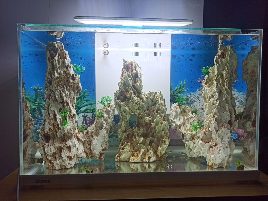 Akvarium sotiladi razmeri 90 .37. 55 soni 2 ta .