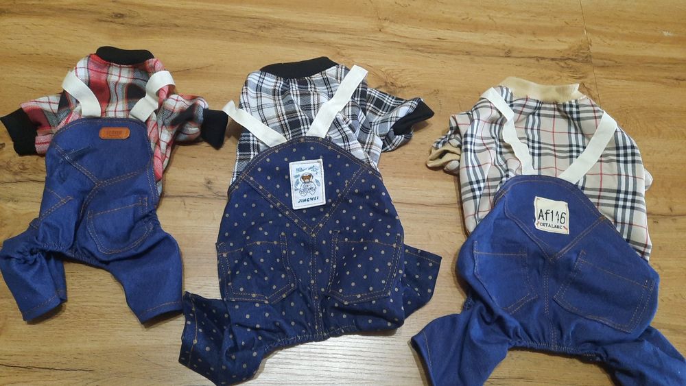 Сабака и кошки одежда