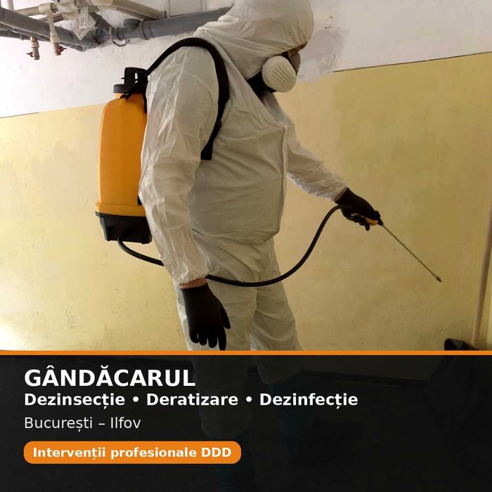 Dezinsecție gândaci București–Ilfov | Intervenție în max. 3 ore, NON-STOP