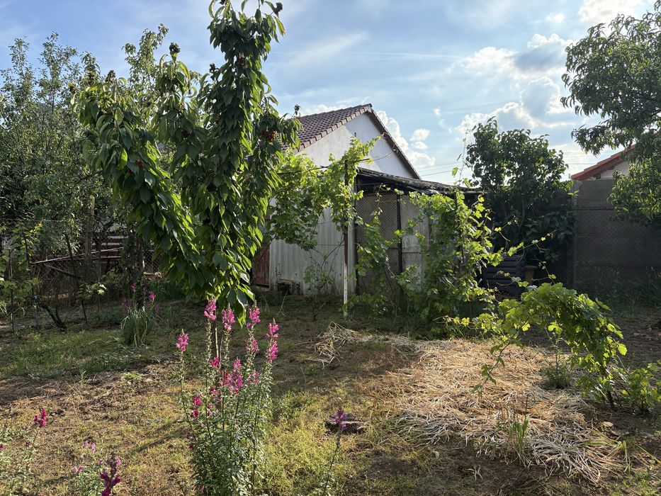 Casă,curte,gradină  Călugăreni