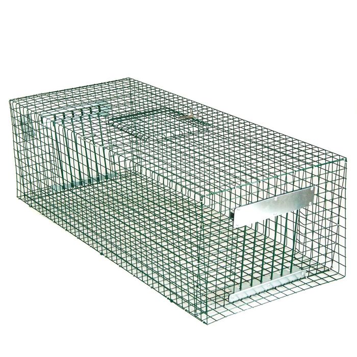 Капан за гълъби чисто нов