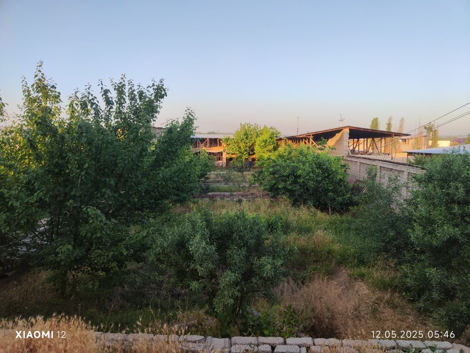 Молхона, чорвачилик учун жой. аренда ижара