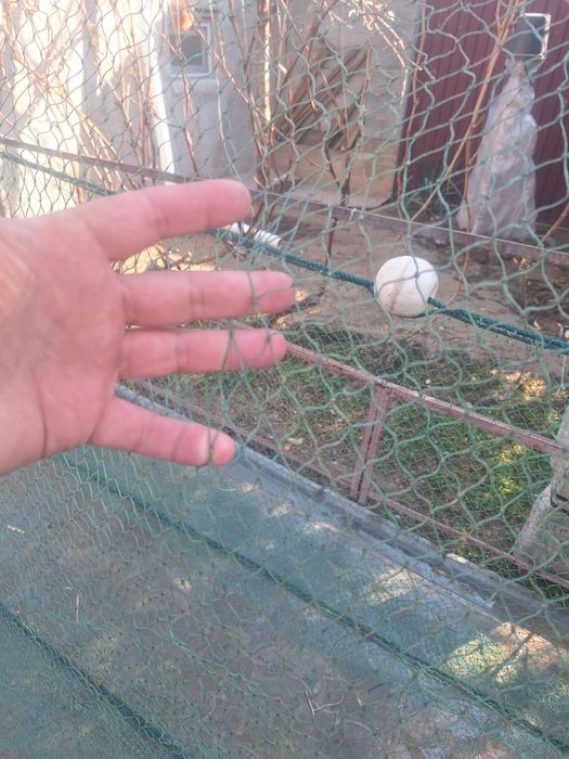 Продам бредень отличный