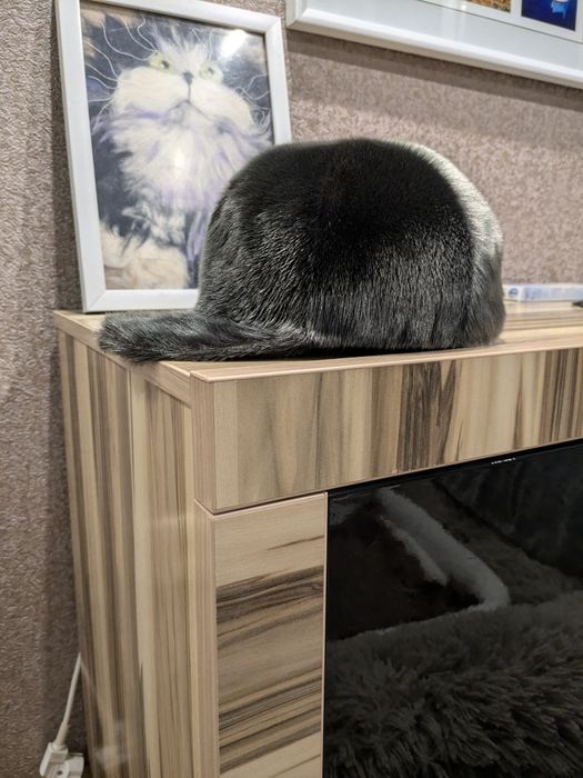 Бейсболка Зимняя Нерпа.