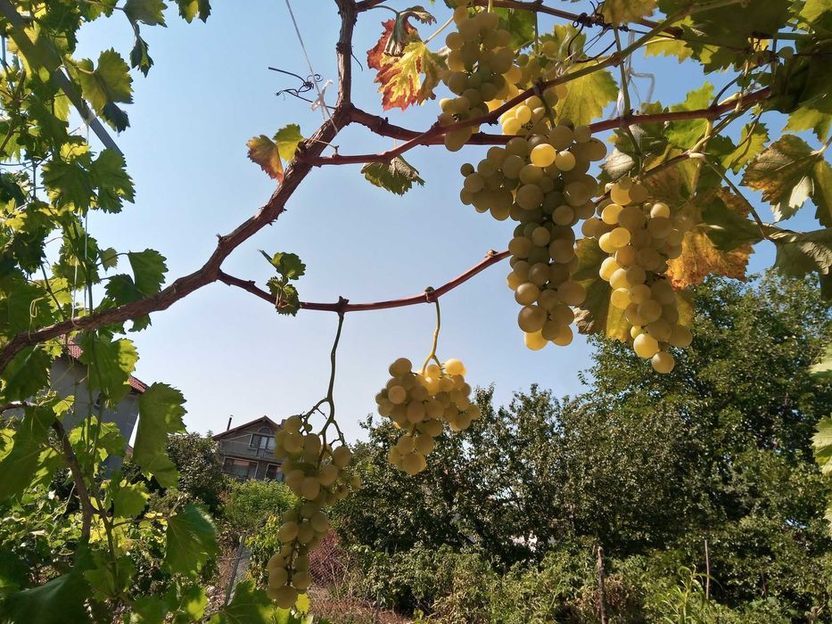 Къща.2-ри етаж в Град Генерал Тошево.