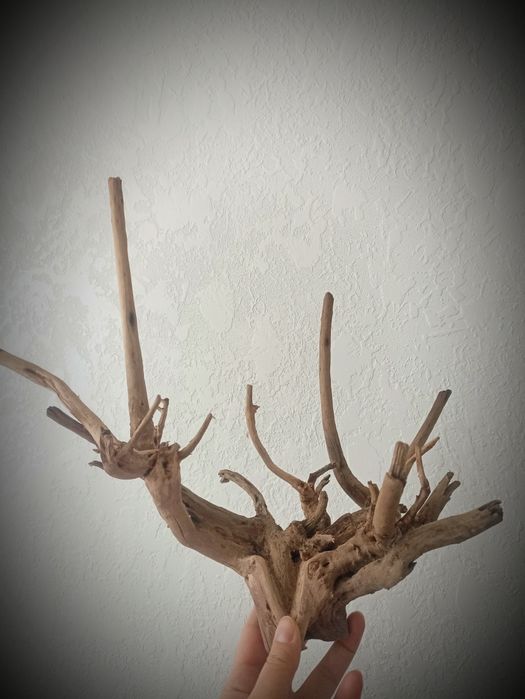 Коряги для аквариума. Камни для аквариума.