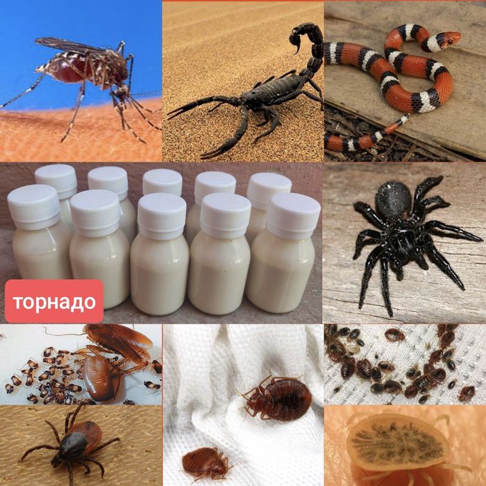 Жыдкое средство Торнадо от клопов и других насекомых 50мл