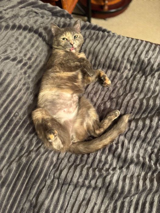 В самые добрые и ответсвенные руки.