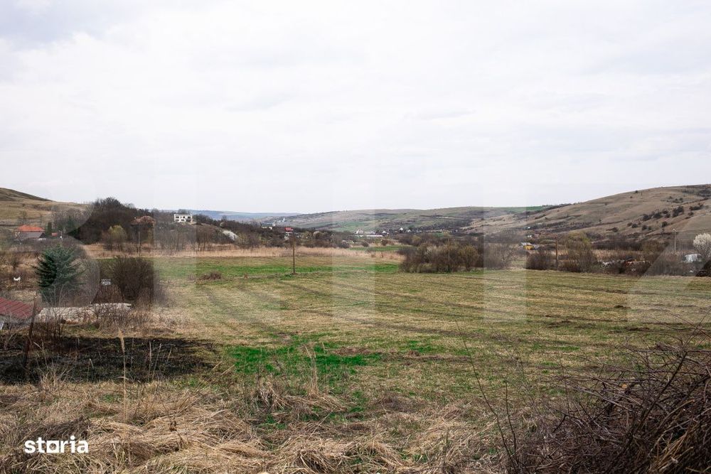 Teren 7088 mp in Borhanci – achizitie integrala sau separata - trei