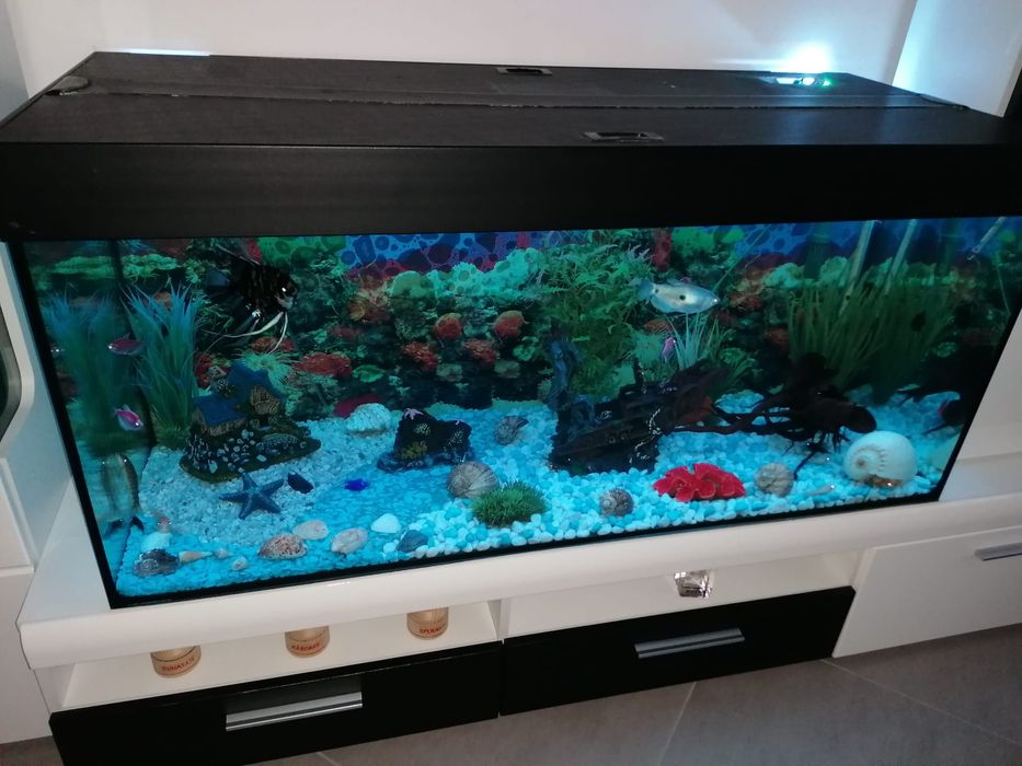 Acvariu pesti eheim 1200x500x500