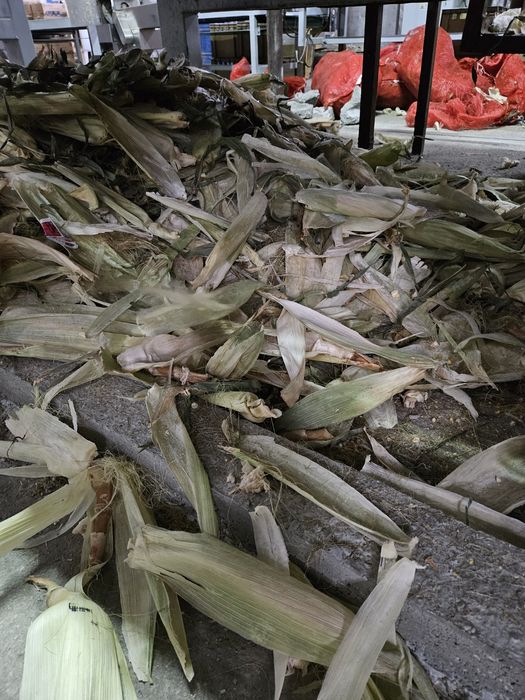 Листья кукурузы для корма