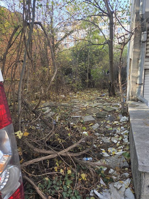 Почистване на запустели парцели и имоти