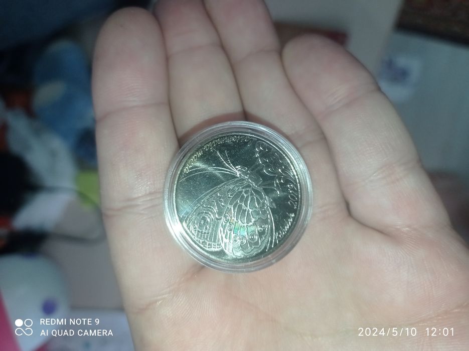 Бабочка kobelek монета