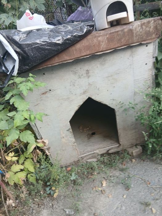 Продам будка для собаки