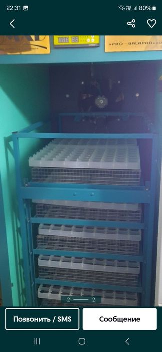 Инкубатор сатылады