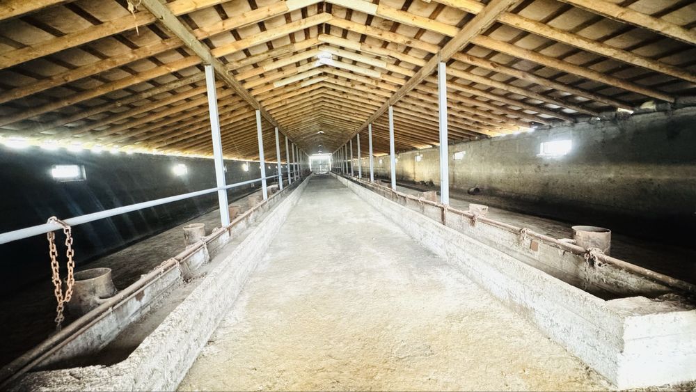 Продам Фазенду 8,08 га