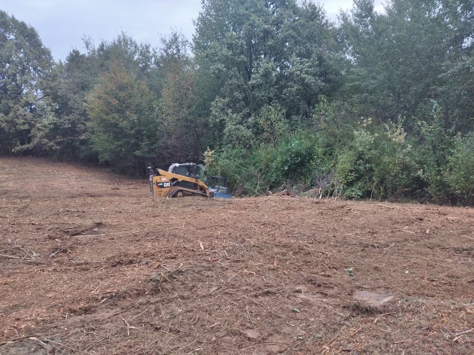 curățare teren defrisari tocator forestier burghiu pământ freză cioate