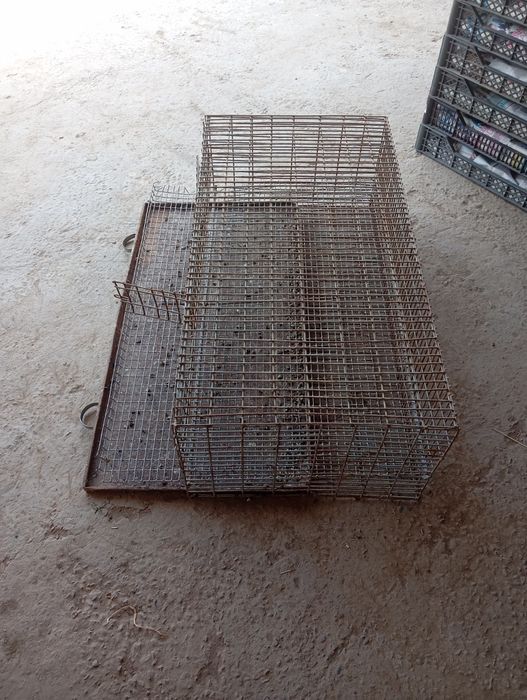 Temirdan yeg'ilgan Bedana qafasi sotiladi