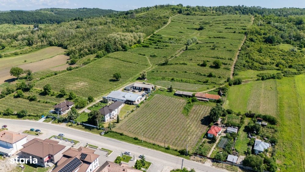 Cramă Premium De Vânzare -60 Ha- Conac Istoric- Podgoria Drăgășani