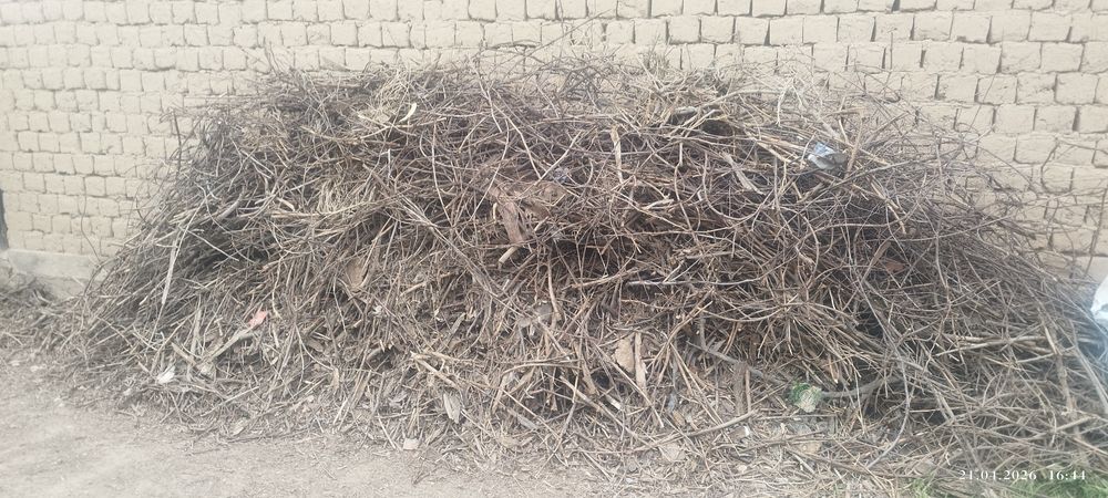 Отын сатылады 1500 тг